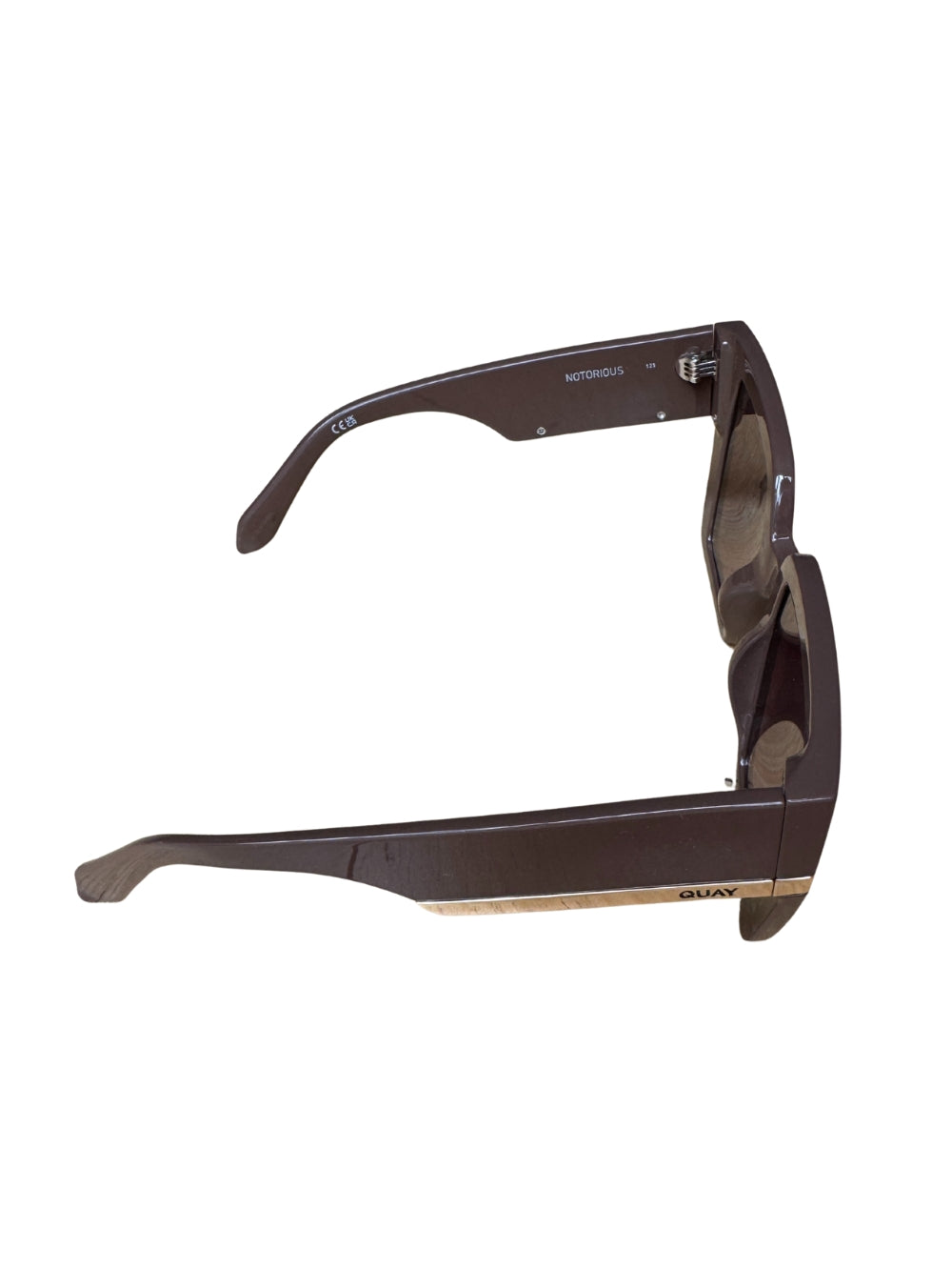 Oversized Sunglasses